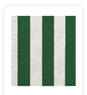 Neoprene Cover – Green Stripes (COSNC-50-STRGreen)